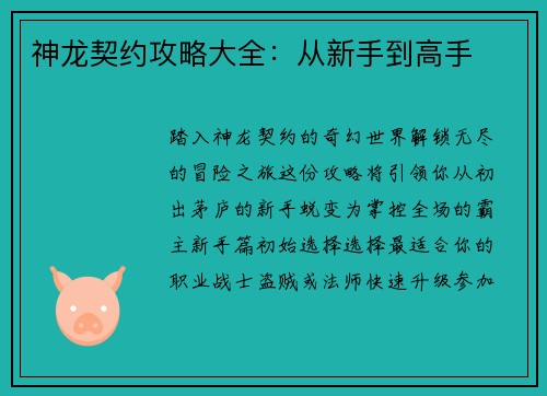 神龙契约攻略大全：从新手到高手
